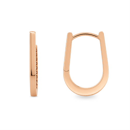 Golden earrings