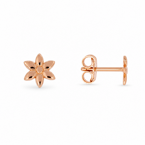 Golden earrings
