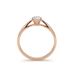 Золотое кольцо