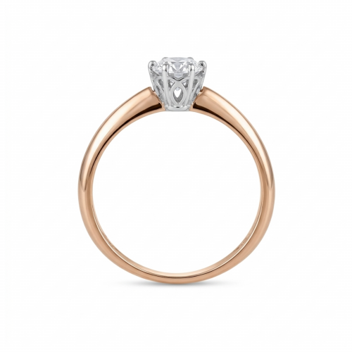 Золотое кольцо