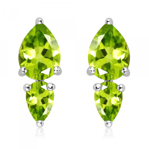 Silver earrings