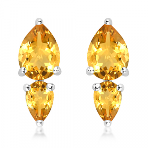 Silver earrings