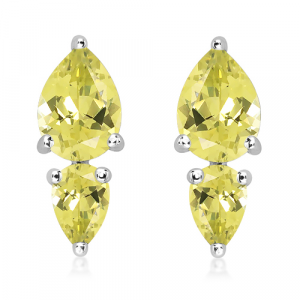 Silver earrings