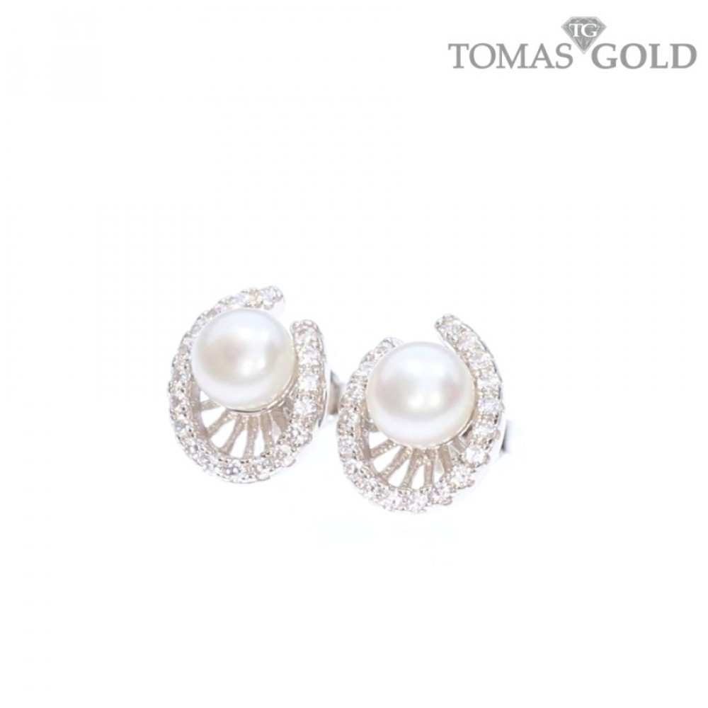Silver earrings with zircon