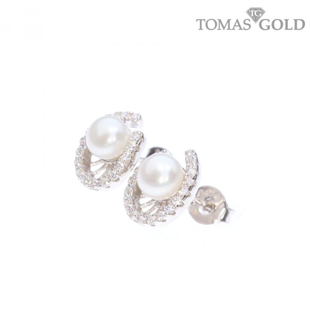 Silver earrings with zircon
