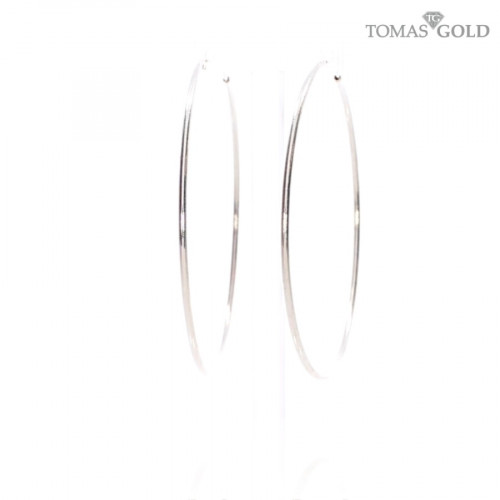 Hõbedased kõrvarõngad