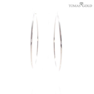 Hõbedased kõrvarõngad