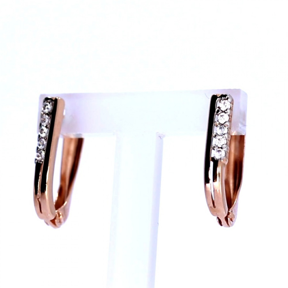 Kuldsed kõrvarõngad