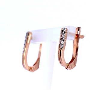 Kuldsed kõrvarõngad