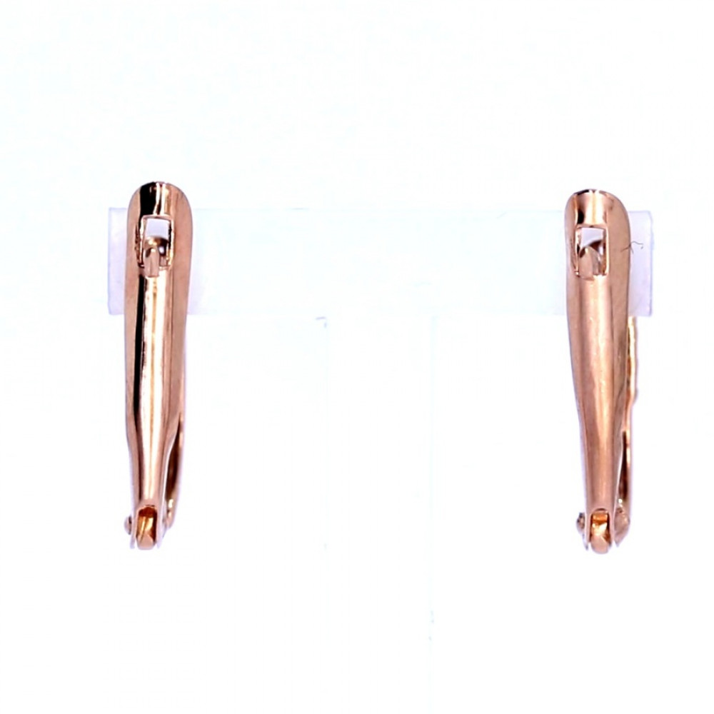 Kuldsed kõrvarõngad