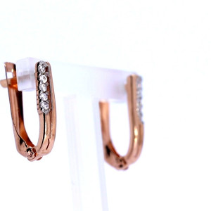 Kuldsed kõrvarõngad