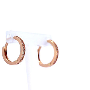 Gold earrings with zircon