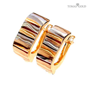 Kuldsed kõrvarõngad