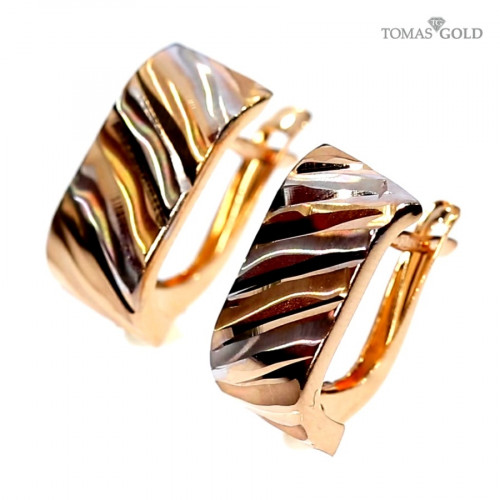 Kuldsed kõrvarõngad