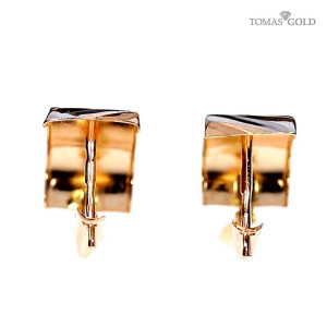 Kuldsed kõrvarõngad