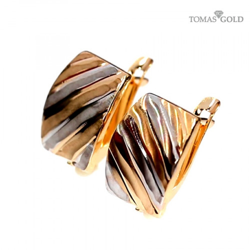 Kuldsed kõrvarõngad