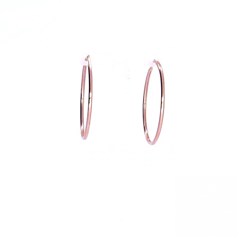 Golden earrings