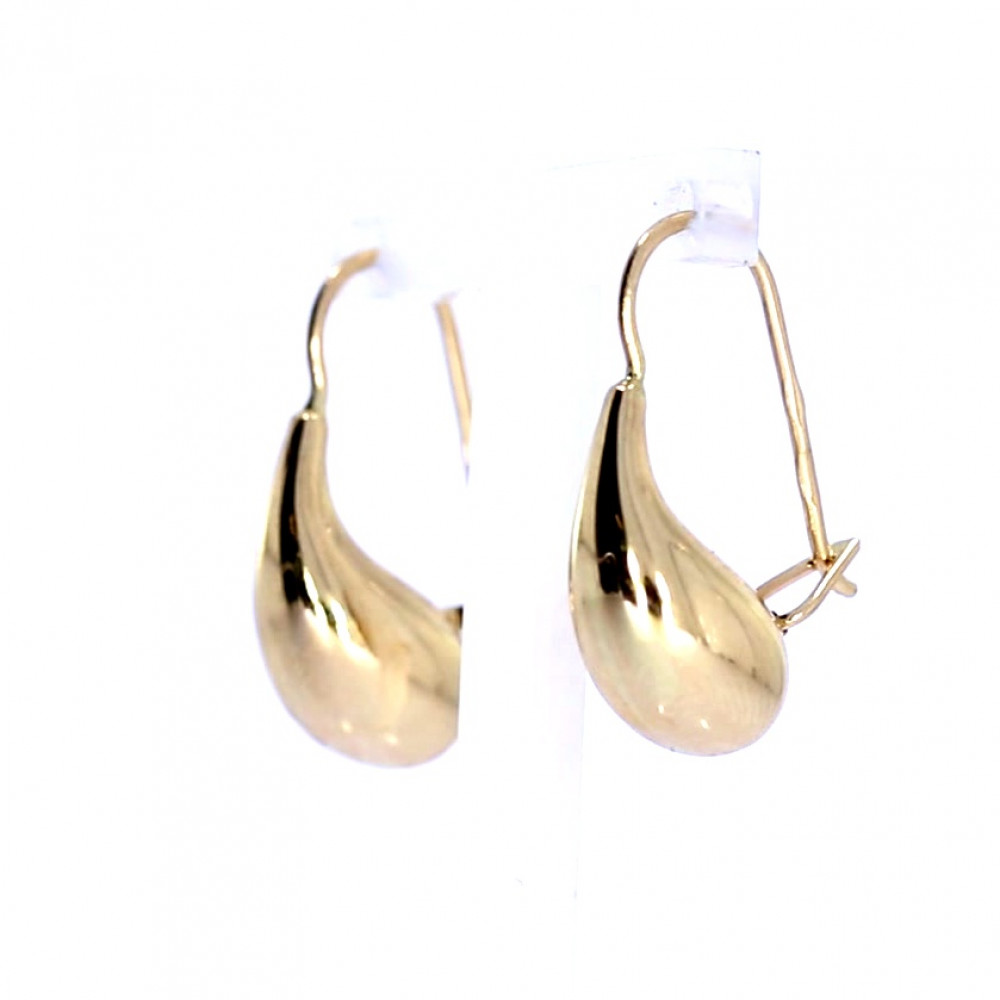 Golden earrings 