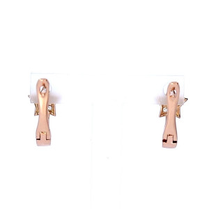 Gold earrings with zircon