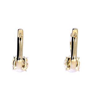 Vääriskividega kuldsed kõrvarõngad