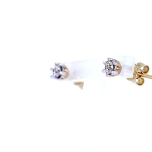 Golden earrings with precious stones