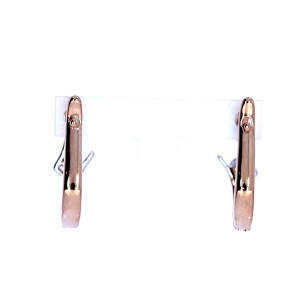 Vääriskividega kuldsed kõrvarõngad