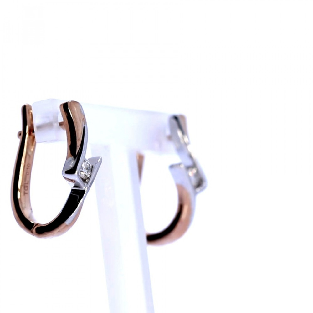 Vääriskividega kuldsed kõrvarõngad