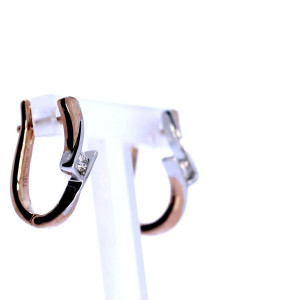 Vääriskividega kuldsed kõrvarõngad