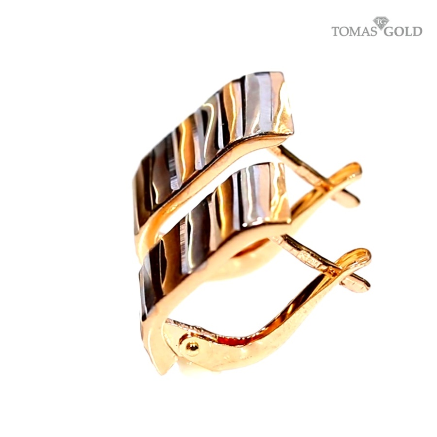 Kuldsed kõrvarõngad