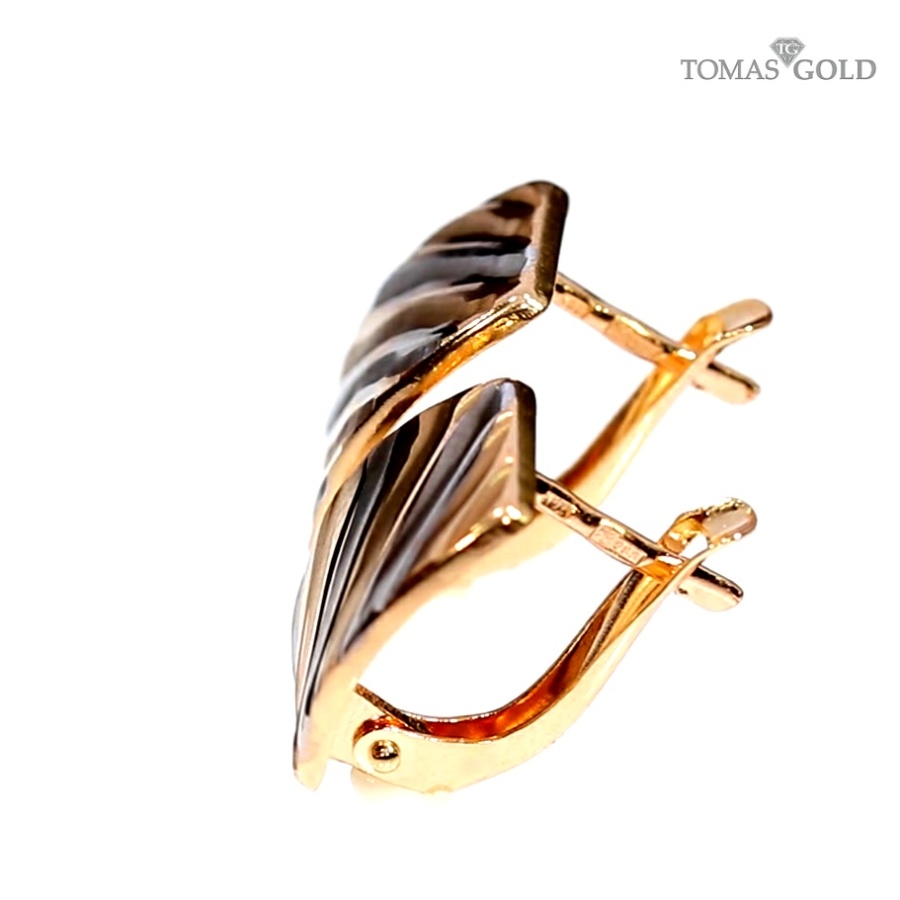 Kuldsed kõrvarõngad