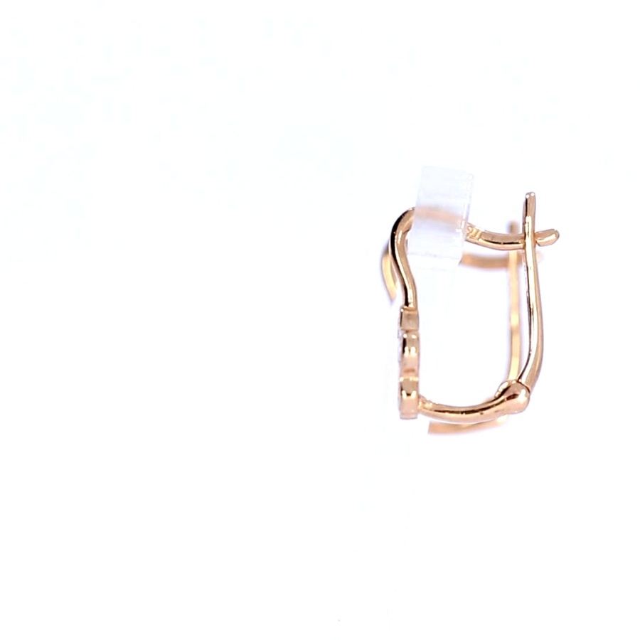 Tsirkooniga kuldkõrvarõngad